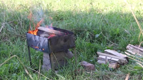 Kovová pánev s pálícím dřevem. Oheň a kouř jsou vidět. Vedle něj leží dřevo na podpal. Grilování stojí mezi trávou na louce. — Stock video