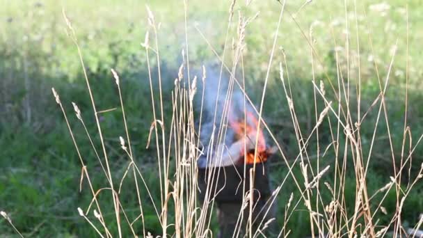 草地上的干草很高.在它的后面可以看到一个带有木头的金属钎子.火和烟是可见的.烧烤站在草地上的草地上. — 图库视频影像
