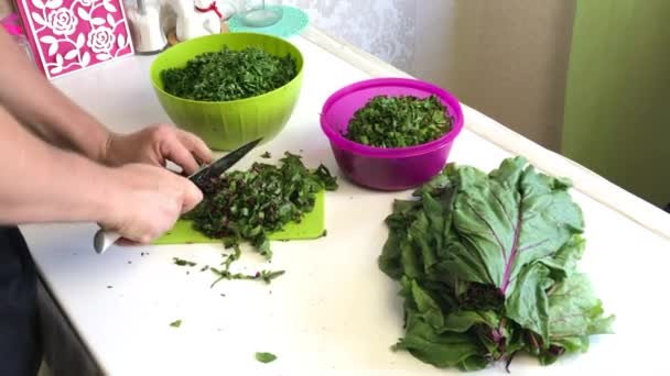 Un hombre corta tapas de remolacha con un cuchillo. Lo recoge en un contenedor. Junto al contenedor, perejil triturado y hojas de remolacha — Vídeos de Stock