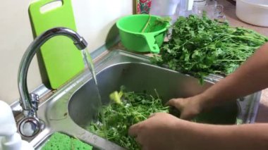 Mutfak lavabosunda bir sürü maydanoz var. Adam sıralıyor ve bir su deresinin altında yıkıyor. Temiz, lavabonun sağına koyuyor..