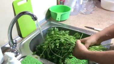 Adam büyük bir maydanoz demetini alır ve bir su deresinin altında yıkar. Suyu silkeliyor ve taşıyor..