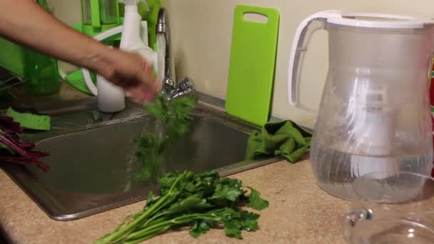 Un hombre lava vigorosamente un montón de apio bajo un chorro de agua en la cocina. Luego sacude el agua y pone el apio a la derecha del fregadero. — Vídeos de Stock