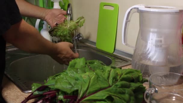 Een man wast sla bladeren. Naast de gootsteen in de keuken staan rode bietenbladeren. — Stockvideo