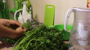 Bir adam musluğun altında yeşil maydanoz yıkıyor. Mutfak lavabosundan alıyor. Lavabonun sağında bir sürü güzel maydanoz var..