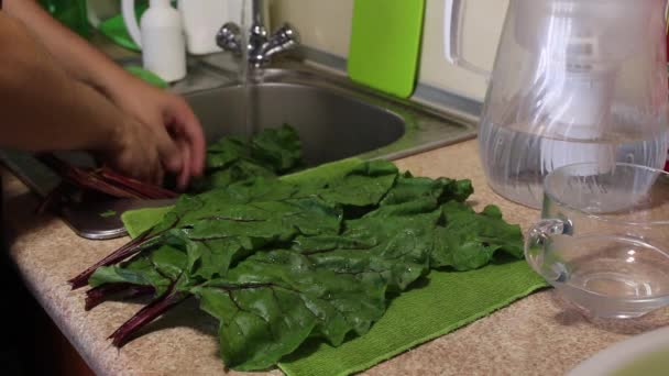 Egy férfi lemossa a csapot a konyhában nagy levelek cékla felsők. A mosogató jobb oldalán tiszta levelek vannak. — Stock videók