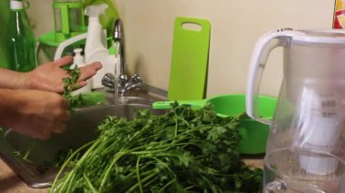 Mutfak lavabosunda maydanoz var. Adam musluğun altında yıkıyor ve düzenliyor. Lavabonun sağında bir sürü güzel maydanoz var..