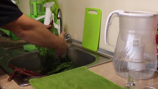 Un bărbat se spală sub robinet în bucătărie frunze mari vârfuri de sfeclă. Frunzele curate sunt plasate la dreapta chiuvetei . — Videoclip de stoc
