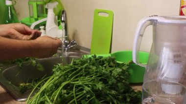 Mutfak lavabosunda maydanoz var. Adam musluğun altında yıkıyor ve düzenliyor. Lavabonun sağında bir sürü güzel maydanoz var..