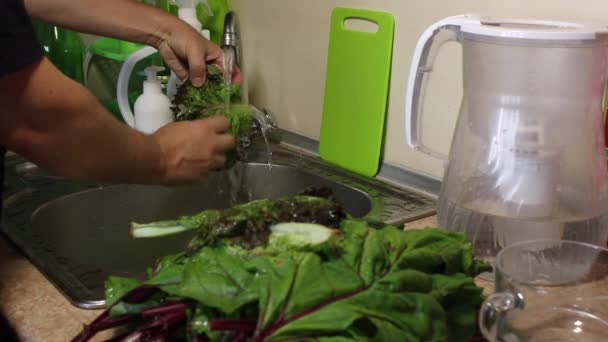 Чоловік миє листя салату. Поруч з раковиною на кухні є бурякове листя . — стокове відео