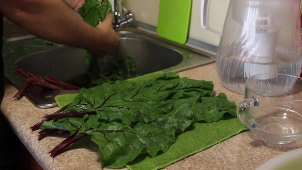 一个男人在厨房水龙头下面洗大叶甜菜顶部。干净的叶子放在水池的右边 — 图库视频影像