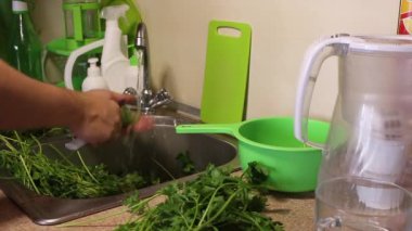 Mutfak lavabosunda maydanoz var. Adam musluğun altında yıkıyor ve düzenliyor. İyi olanı sağ tarafa koyar, kötü olanı sol tarafa..