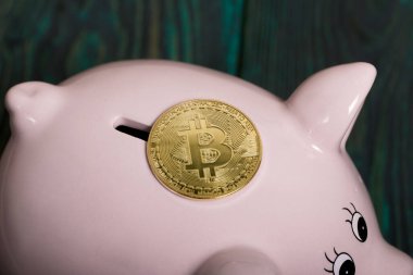 Domuz şeklinde domuz kumbarası. Bitcoin yakınlarda yatıyor.