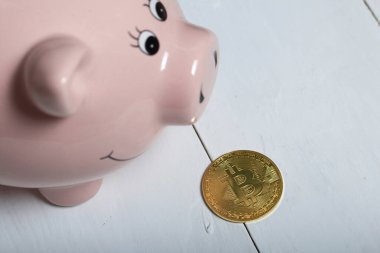 Domuz şeklinde domuz kumbarası. Bitcoin yakınlarda yatıyor.