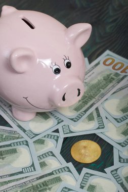 Domuz şeklinde domuz kumbarası. Yakınlarda dolar ve bitcoin var..