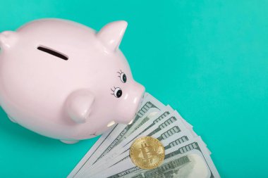 Domuz şeklinde domuz kumbarası. Yakınlarda dolar ve bitcoin var..