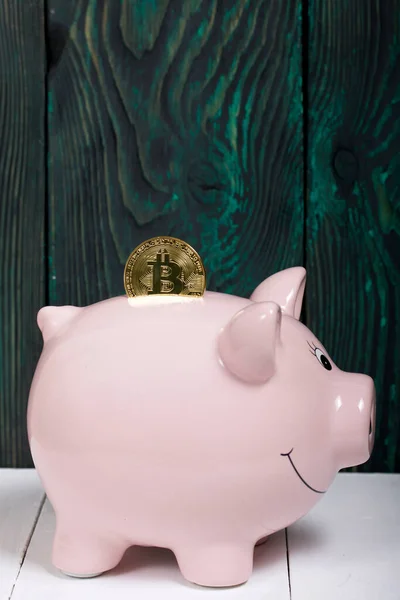 Piggy Bank Form Pig Bitcoin Sticks Out — Stock Photo, Image