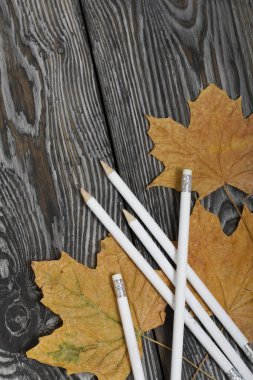 Beyaz kalemler. Yakınlarda kurumuş akçaağaç yaprakları var. Salgın sırasında akademik yıl.