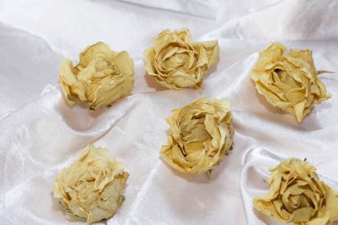 Bej kumaşta kurumuş gül tomurcukları. Kumaş dalgalar halinde duruyor. Sonbahar sakin bir hayat.