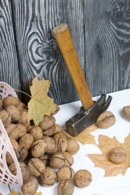 Ters dönmüş ceviz sepeti. Yakınlarda bir çekiç, doğranmış fındık ve kurumuş akçaağaç yaprakları var..