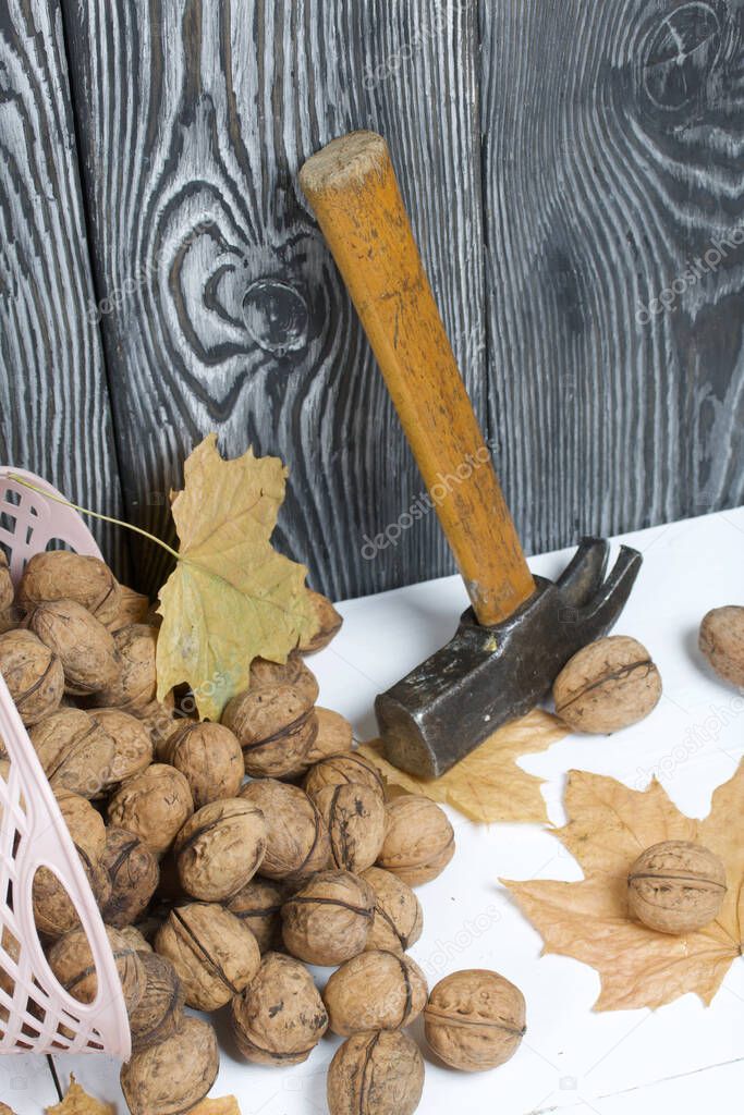 An overturned basket of walnuts. Nearby lies a hammer, chopped nuts, and dried maple leaves.