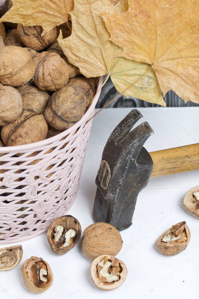 A basket with walnuts. Nearby lies a hammer, chopped nuts, and dried maple leaves.