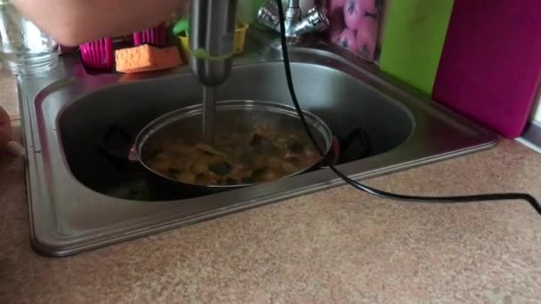 Kürbiskaviar kochen. Eine Frau mahlt Zutaten in einem Topf mit einem Mixer. — Stockvideo