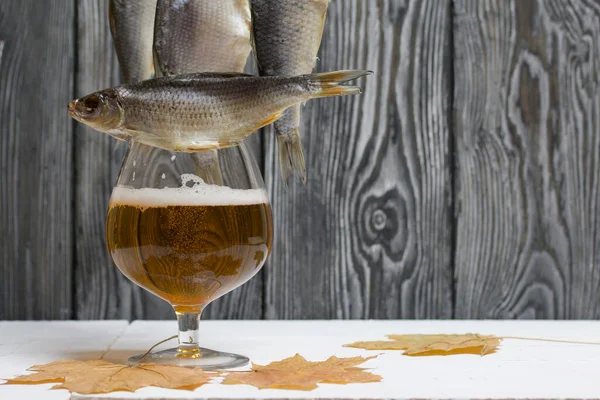 Dried river fish hangs on a rope. Nearby is a glass of beer and dried maple leaves. There is a roach on the glass.