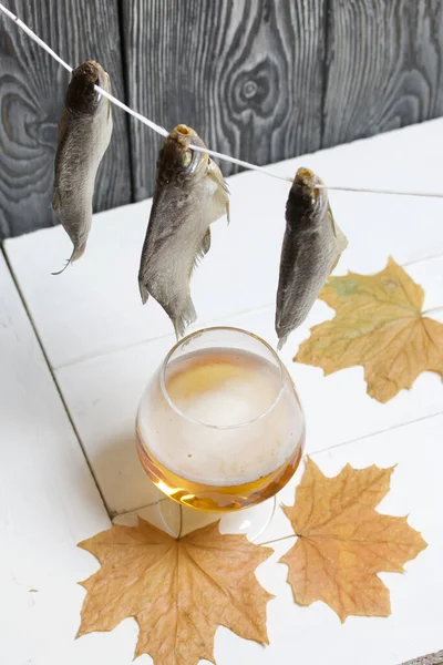 Dried river fish hangs on a rope. Nearby there is a glass of beer, dried maple leaves lie.