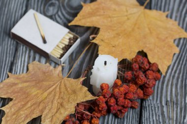 Fırçalanmış çam ağacının üzerinde mum koçanı. Yakınlarda bir kutu kibrit, kurumuş akçaağaç yaprakları ve bir yığın dağ külü var..