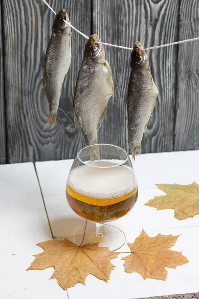 Dried river fish hangs on a rope. Nearby there is a glass of beer, dried maple leaves lie.