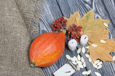 Portakal kabağı, tohumlar ve mum koçanları. Yakınlarda bir kutu kibrit, kurumuş akçaağaç yaprakları ve Rowan var. Çam ağacından yapılmış tahtalarda siyah beyaz boyanmış..