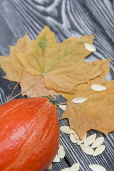 Portakal kabağı, tohumlar ve kurumuş akçaağaç yaprakları. Çam ağacından yapılmış tahtalarda siyah beyaz boyanmış..