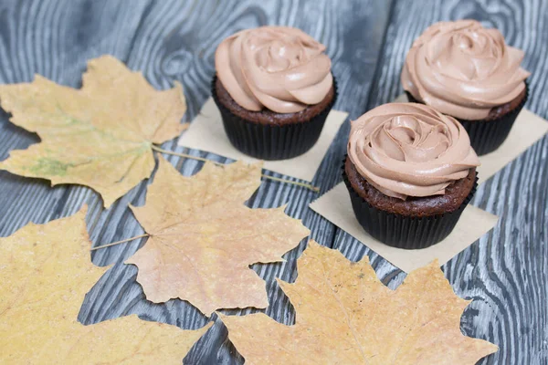 Chokladmuffins Med Färskost Grädde Närheten Finns Torkade Lönnlöv Tallplankor Målade — Stockfoto