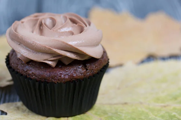 Chokladmuffins Med Färskost Grädde Närheten Finns Torkade Lönnlöv Tallplankor Målade — Stockfoto