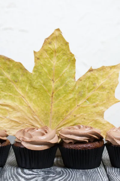 Chocolate Cupcakes Cream Cheese Cream Nearby Dried Maple Leaves Pine — Stock Photo, Image