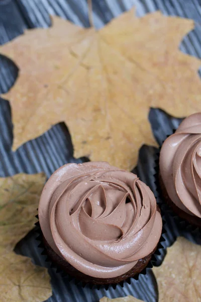 Bolinhos Chocolate Com Creme Queijo Creme Nas Proximidades Estão Folhas — Fotografia de Stock