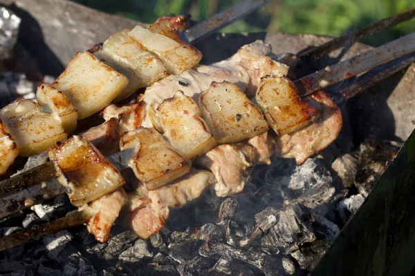 肉とベーコンとバーベキュー 石炭と金属グリルで 牧草地の緑の草の中で クローズアップ撮影 — ストック写真