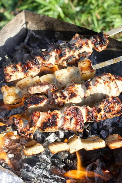 Barbecue Con Carne Pancetta Una Griglia Metallo Con Carboni Tra — Foto Stock