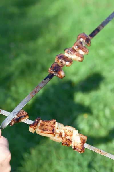 Spiedini Pancetta Grasso Sugli Spiedini Sullo Sfondo Prato Verde Preso — Foto Stock