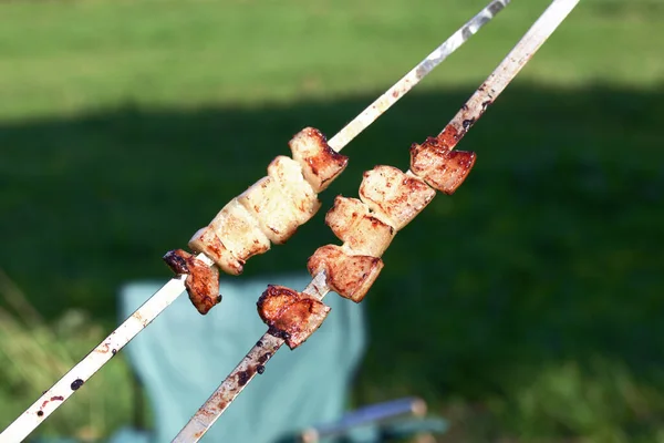 ベーコンの串焼き 串の上の脂肪 緑の牧草地の背景に クローズアップ撮影 — ストック写真