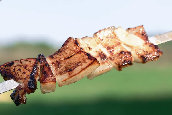 Spiedini Pancetta Grasso Sugli Spiedini Sullo Sfondo Prato Verde Preso — Foto Stock