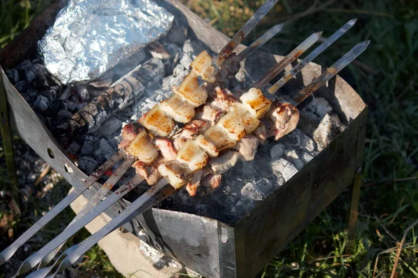Barbecue Con Carne Pancetta Una Griglia Metallo Con Carboni Tra — Foto Stock