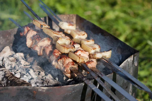 肉とベーコンとバーベキュー 石炭と金属グリルで 牧草地の緑の草の中で クローズアップ撮影 — ストック写真