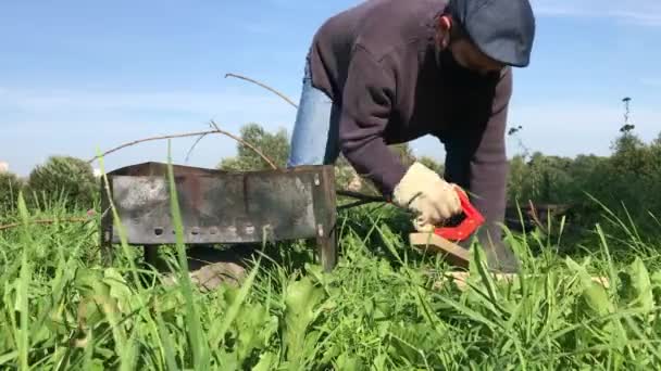 Um homem usando uma máscara e luvas serra e quebra madeira para a grelha. Uma caixa de churrasco metálica está instalada nas proximidades. Piquenique no prado durante uma pandemia — Vídeo de Stock