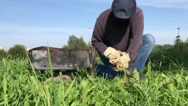 Mężczyzna w masce i rękawiczkach łamie drewno na grilla. W pobliżu znajduje się metalowa skrzynka do grillowania. Piknik łąkowy podczas pandemii — Wideo stockowe