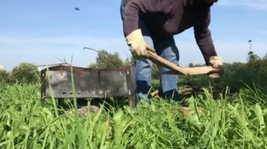 Maske takan ve eldiven takan bir adam ızgara için testereyle odun kırıyor. Yakınlarda metal bir barbekü kutusu var. Salgın sırasında çayırda piknik..