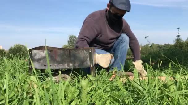 Maske takan ve eldiven takan bir adam barbekü için testereyle odun kırıyor. Yakınlarda metal bir ızgara kutusu var. Salgın sırasında çayırda piknik.. — Stok video