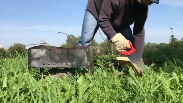 Mężczyzna w masce i rękawiczkach piłuje drewno na grilla. W pobliżu znajduje się metalowa skrzynka do grillowania. Piknik na łące podczas pandemii. — Wideo stockowe