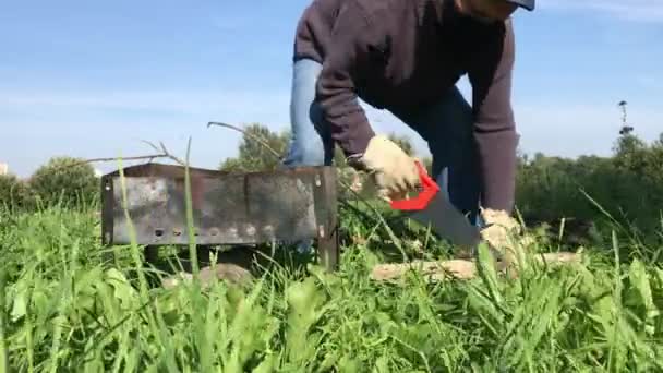 Um homem com uma máscara e luvas está a serrar madeira para um grelhador. Uma caixa de churrasco metálica está instalada nas proximidades. Piquenique no prado durante uma pandemia — Vídeo de Stock