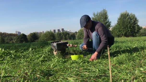 Fém parázs parázzsal a zöld mezőn. Húst húz egy nyársra. Egy nő közeledik hozzá. Piknik a réten egy járvány idején.. — Stock videók